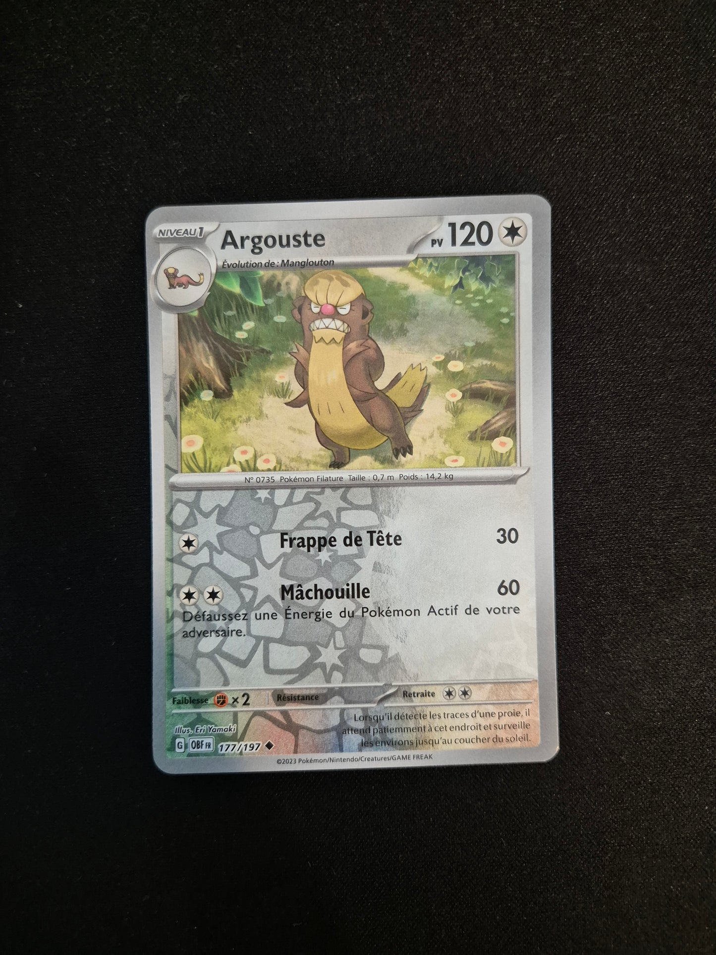 Carte Pokémon Argouste Reverse 177/197 EV03 Flammes Obsidiennes