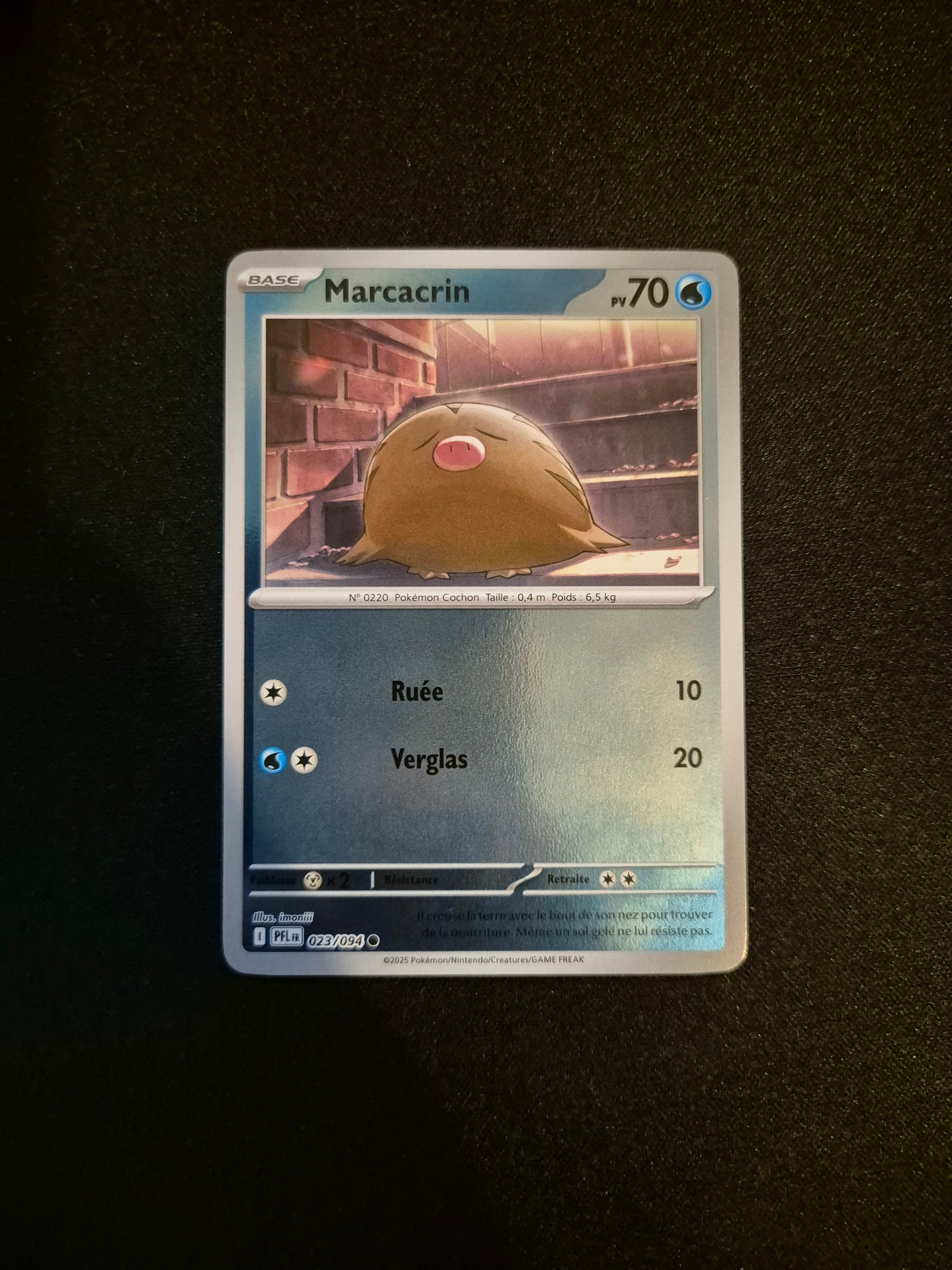 Carte Pokémon Marcacrin Reverse 023/094 ME02 Flammes Fantasmagoriques