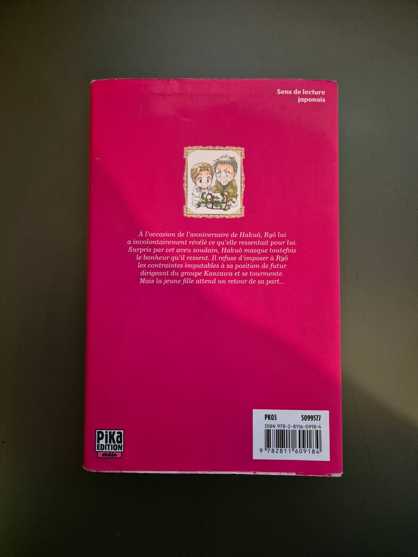 Manga Lady Butler Tome 11 FR - Occasion
