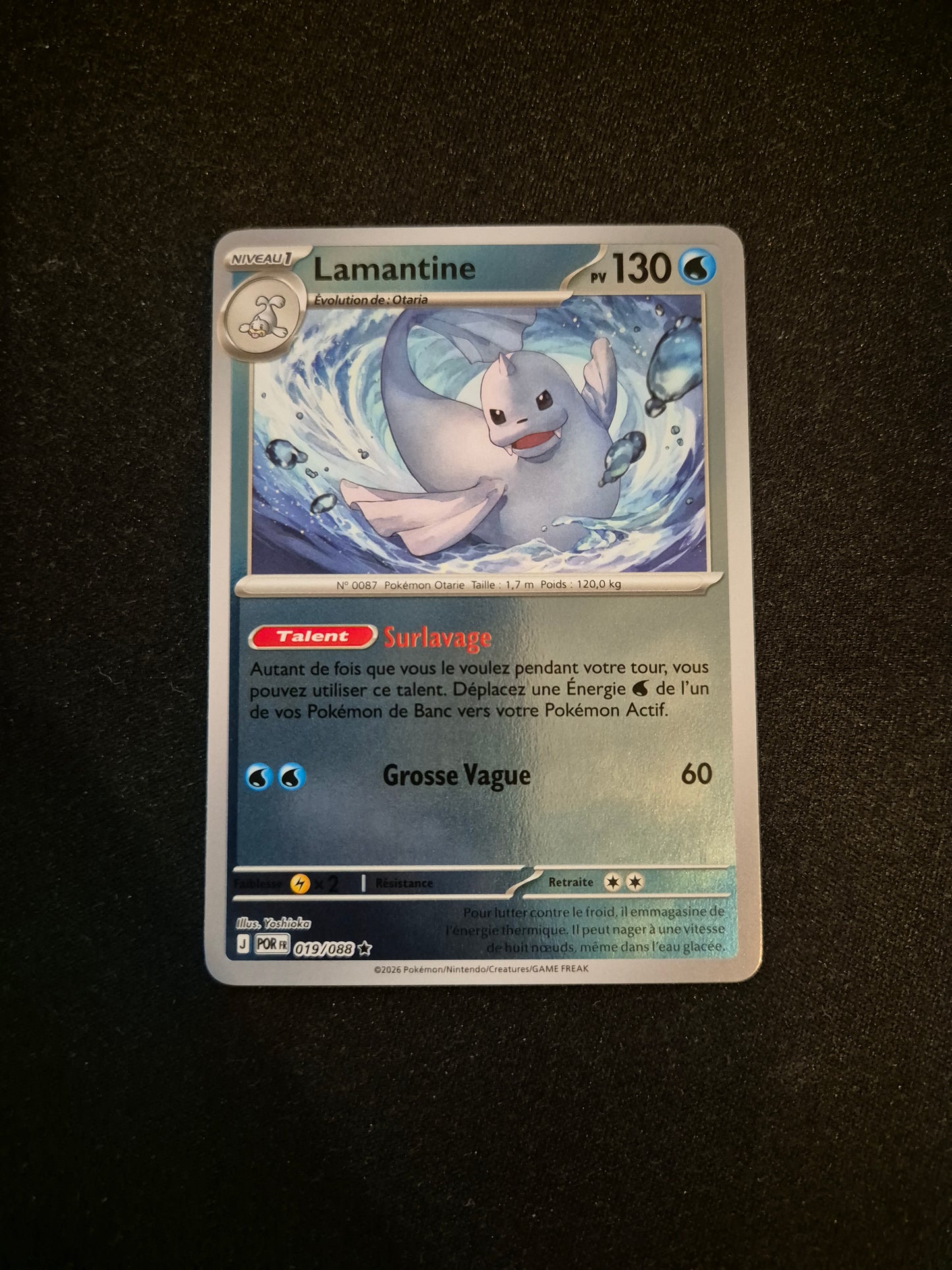 Carte Pokémon Lamantine Reverse 019/088 ME03 Equilibre Parfait