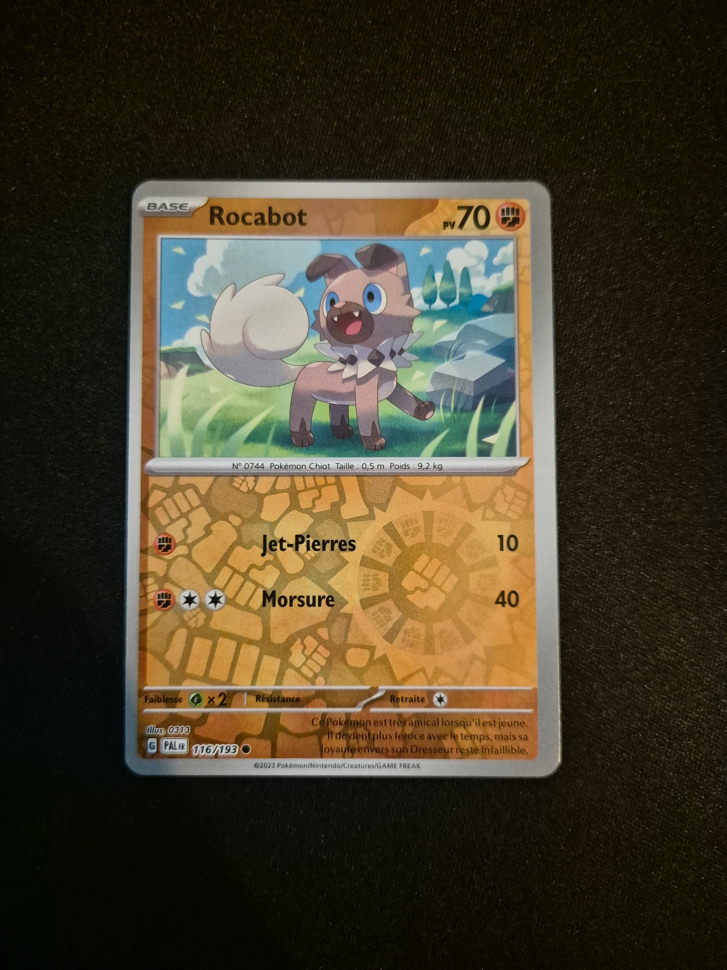 Carte Pokémon Rocabot Reverse 116/193 EV02 Evolutions à Paldea