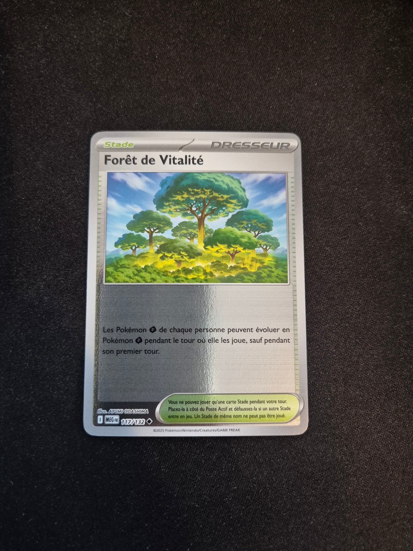 Carte Pokémon Forêt de Vitalité Reverse 117/132 ME01 Méga-Évolution