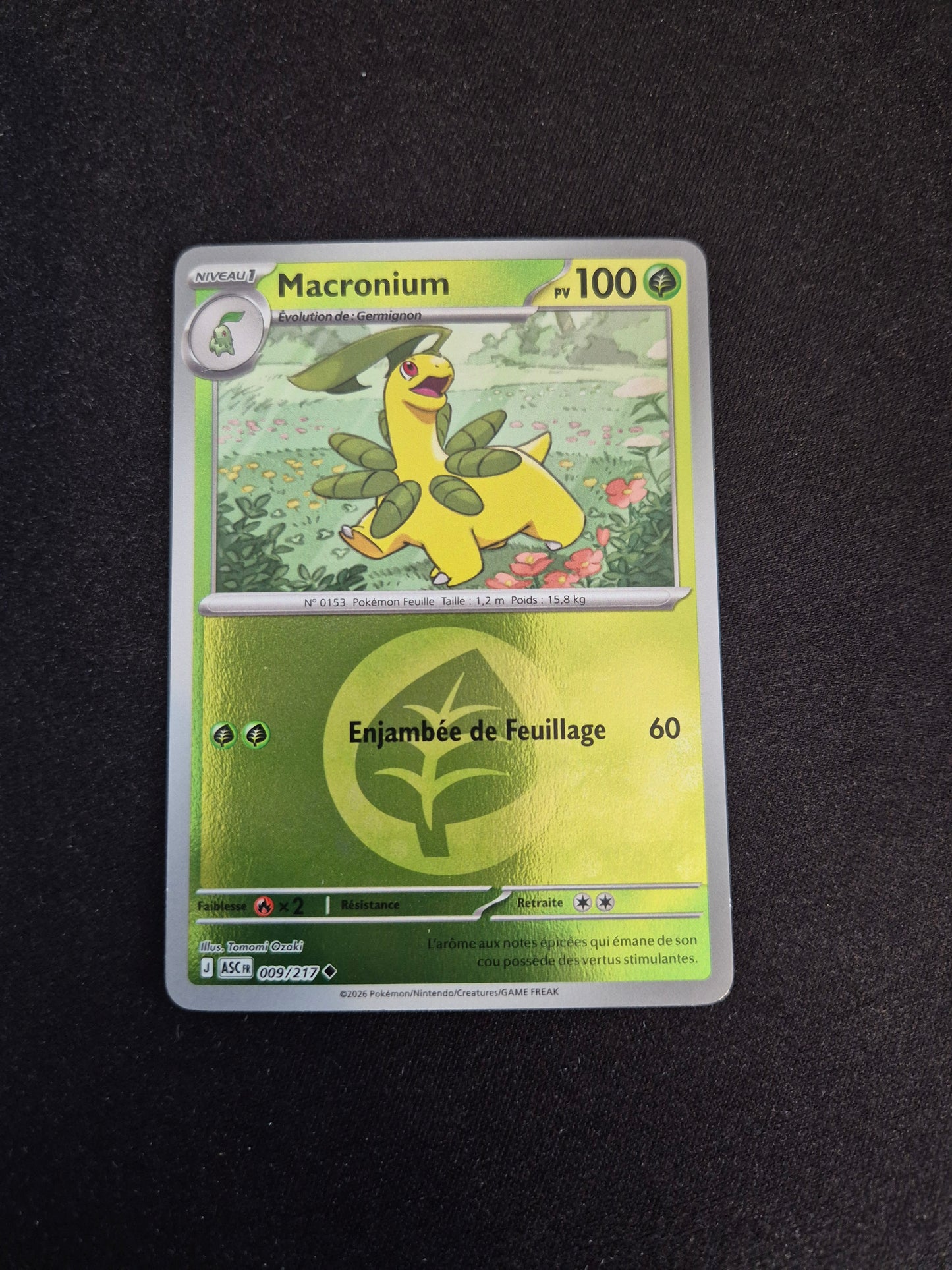 Carte Pokémon Macronium Reverse Energie 009/217 ME2.5 Héros Transcendants