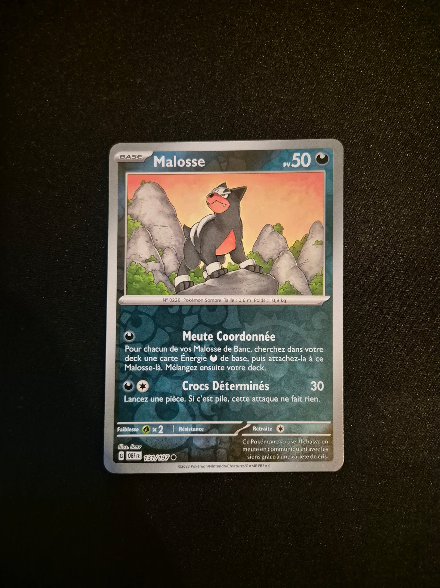 Carte Pokémon Malosse Reverse 131/197 EV03 Flammes Obsidiennes