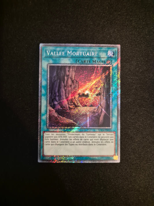 Carte Yu-Gi-Oh! Vallée Mortuaire Platinum Secret Rare RA04-FR122