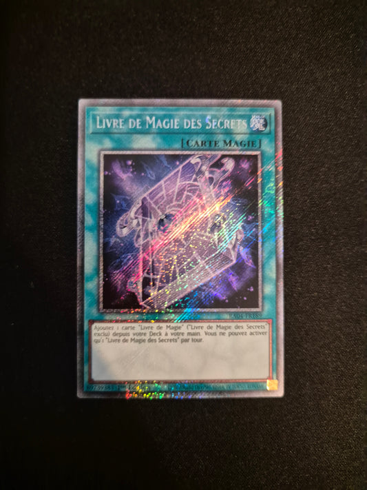 Carte Yu-Gi-Oh! Livre de Magie des Secrets Platinum Secret Rare RA04-FR189