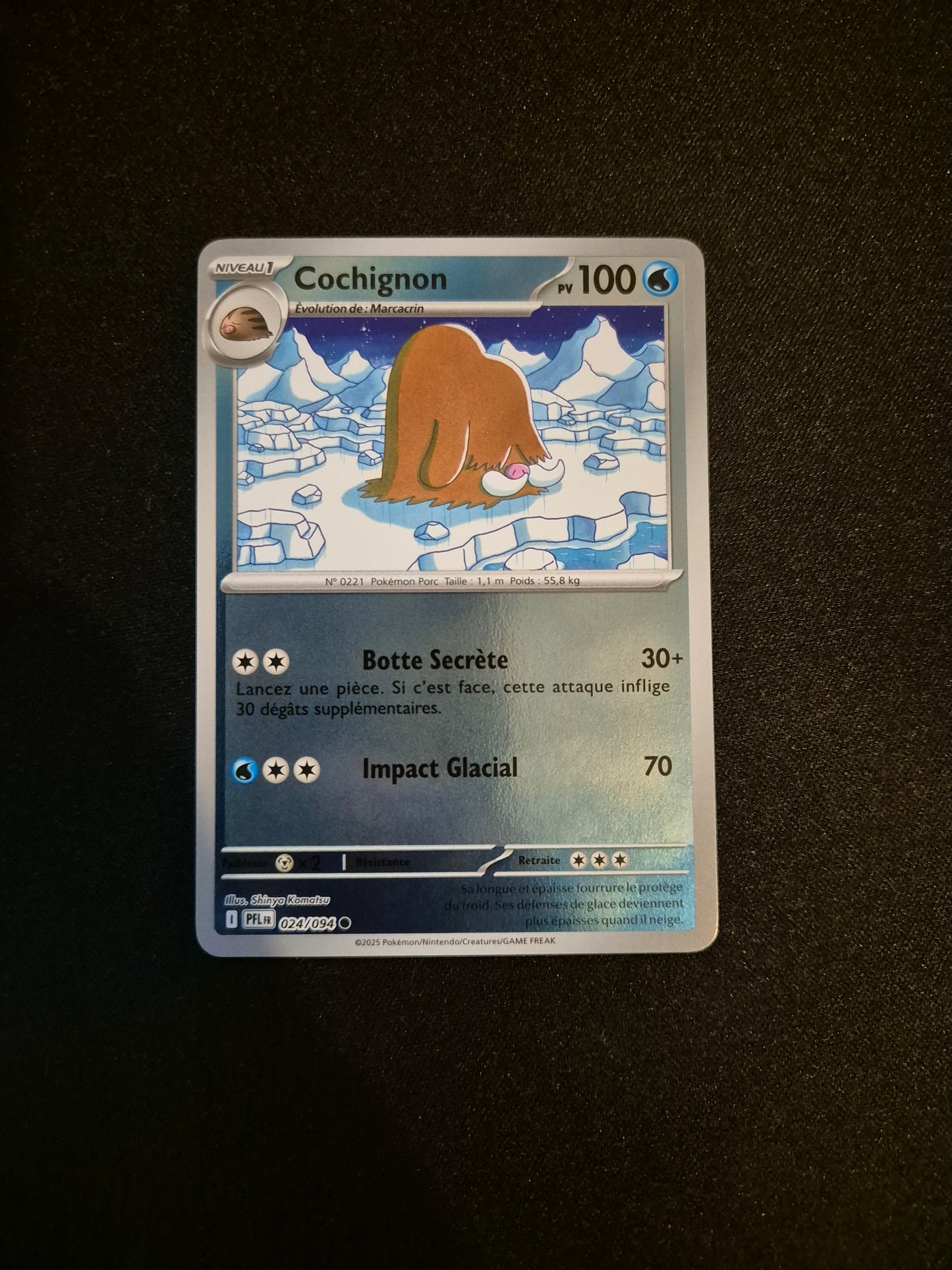 Carte Pokémon Cochignon Reverse 024/094 ME02 Flammes Fantasmagoriques
