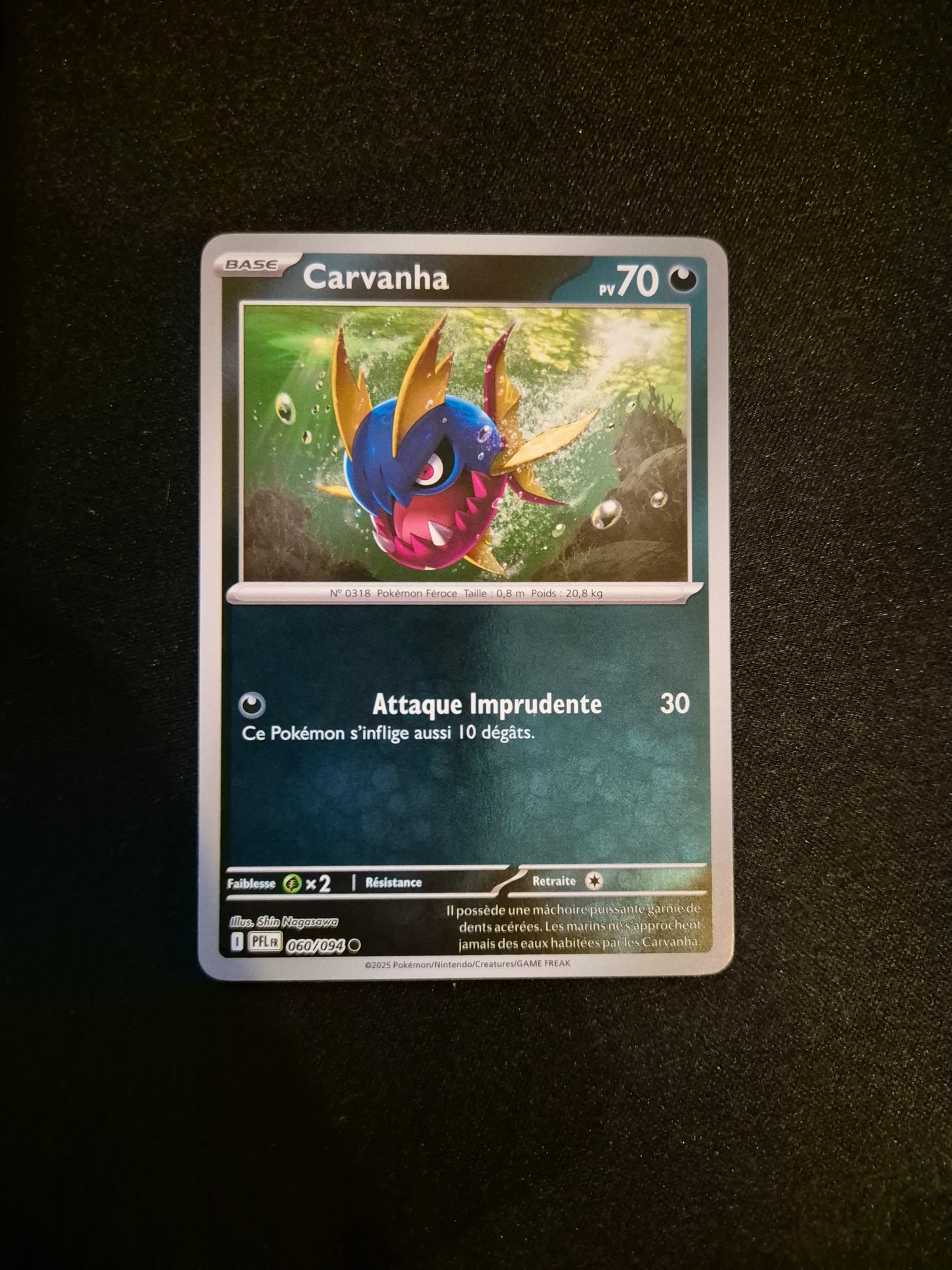 Carte Pokémon Carvanha Reverse 060/094 ME02 Flammes Fantasmagoriques