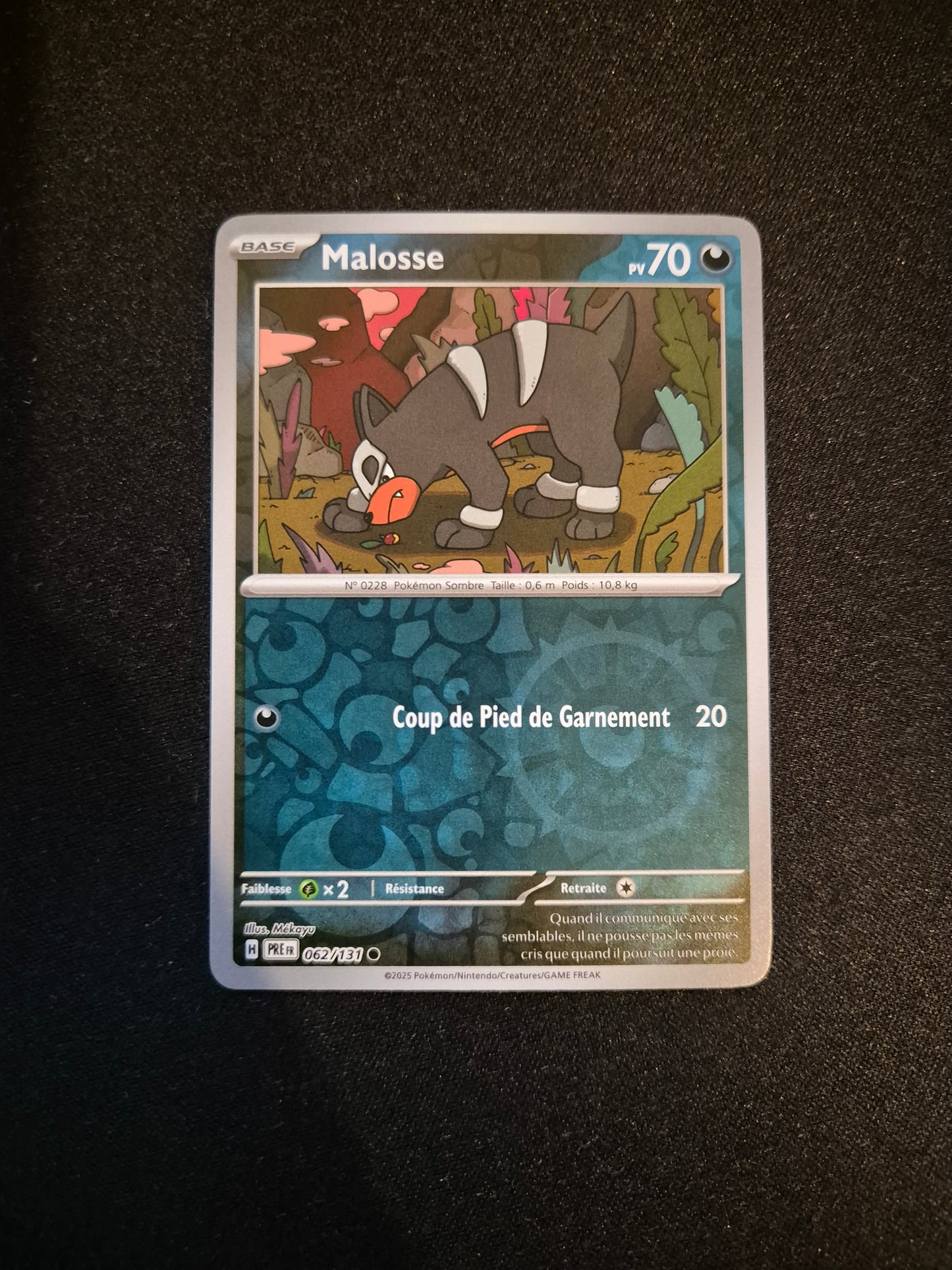 Carte Pokémon Malosse Reverse 062/131 EV8.5 Évolutions Prismatiques