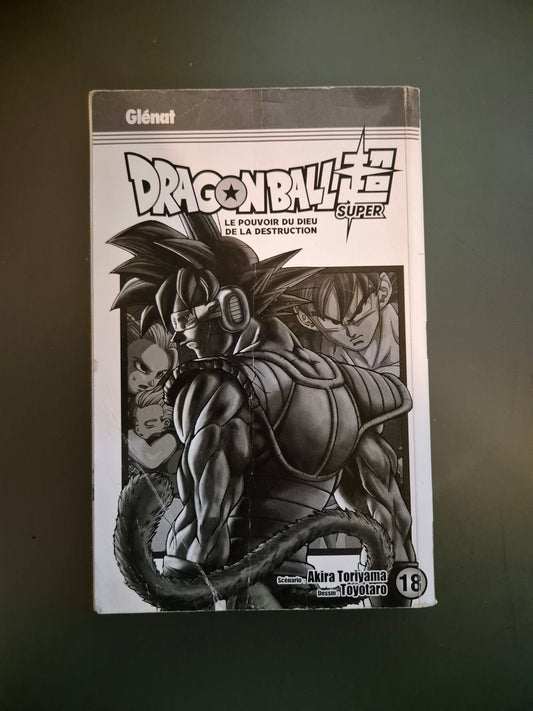 Manga Dragon Ball Super Tome 18 : Le Pouvoir du Dieu de la Destruction FR