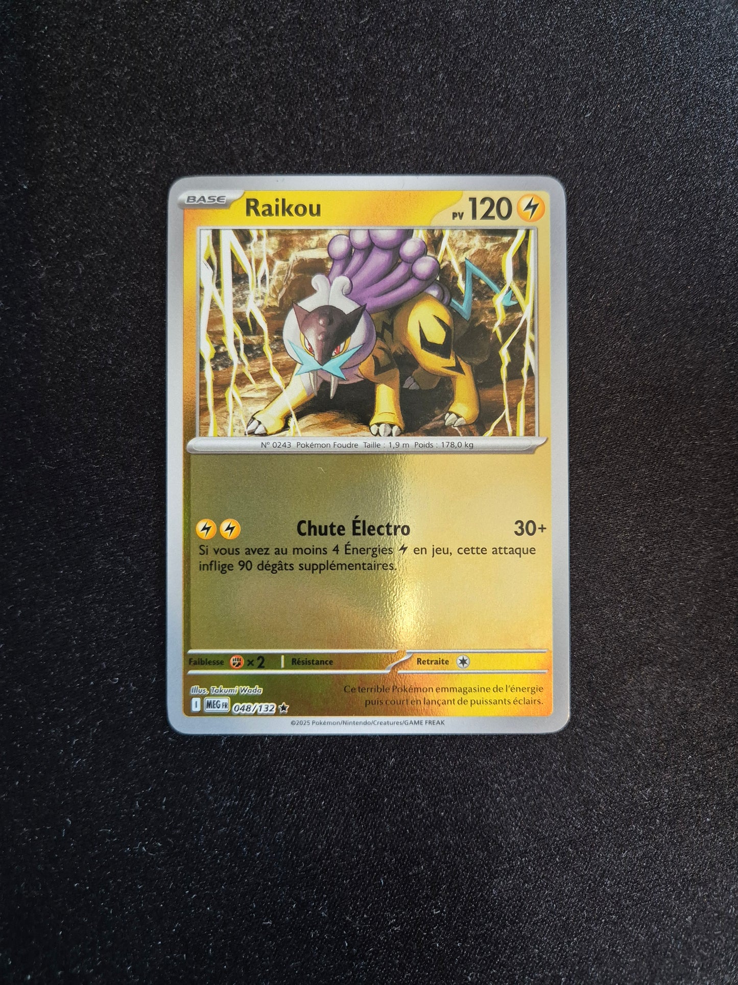 Carte Pokémon Raikou Holo Reverse 048/132 ME01 Méga-Évolution