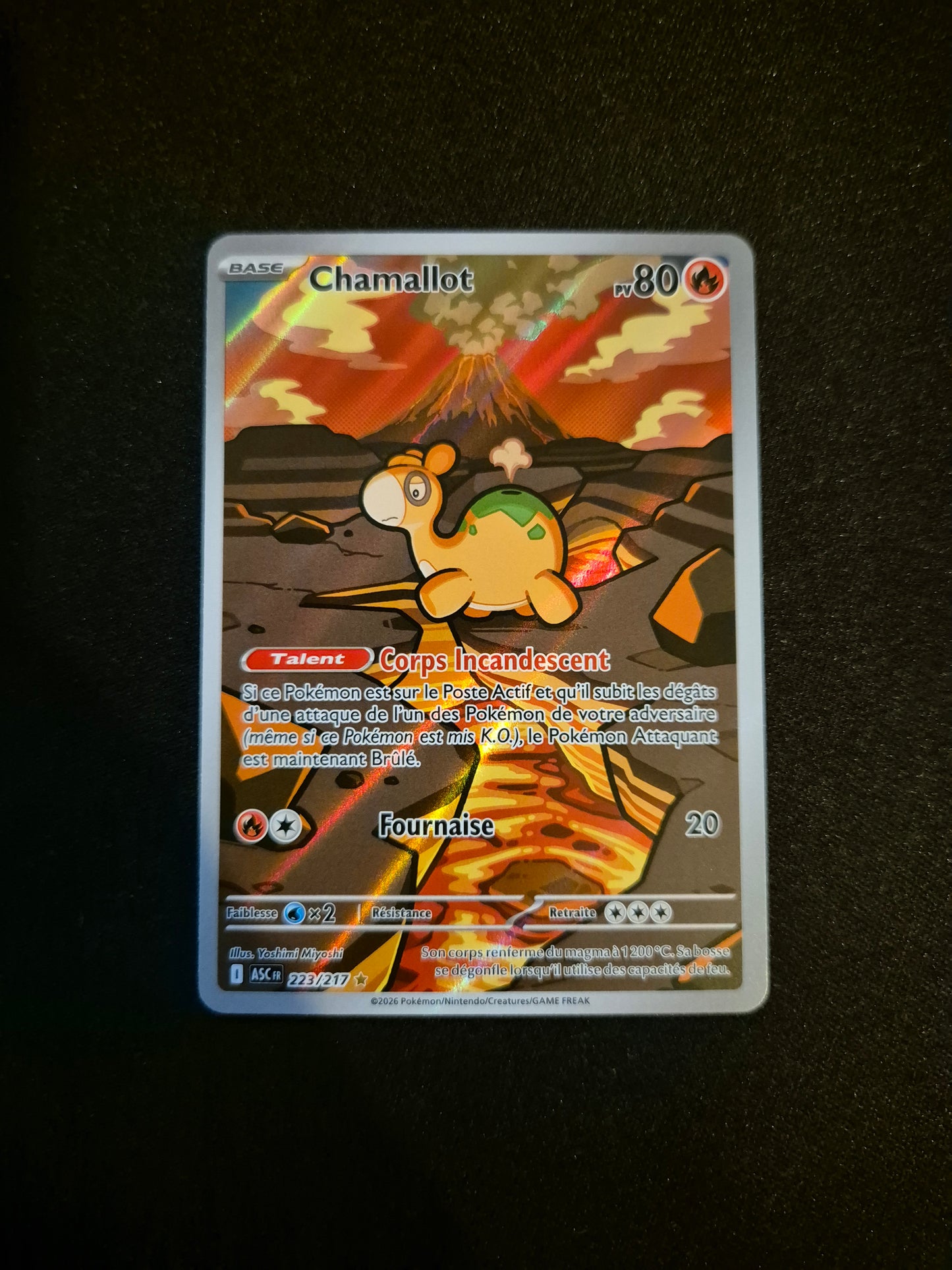 Carte Pokémon Chamallot Art Rare AR 223/217 ME2.5 Héros Transcendants