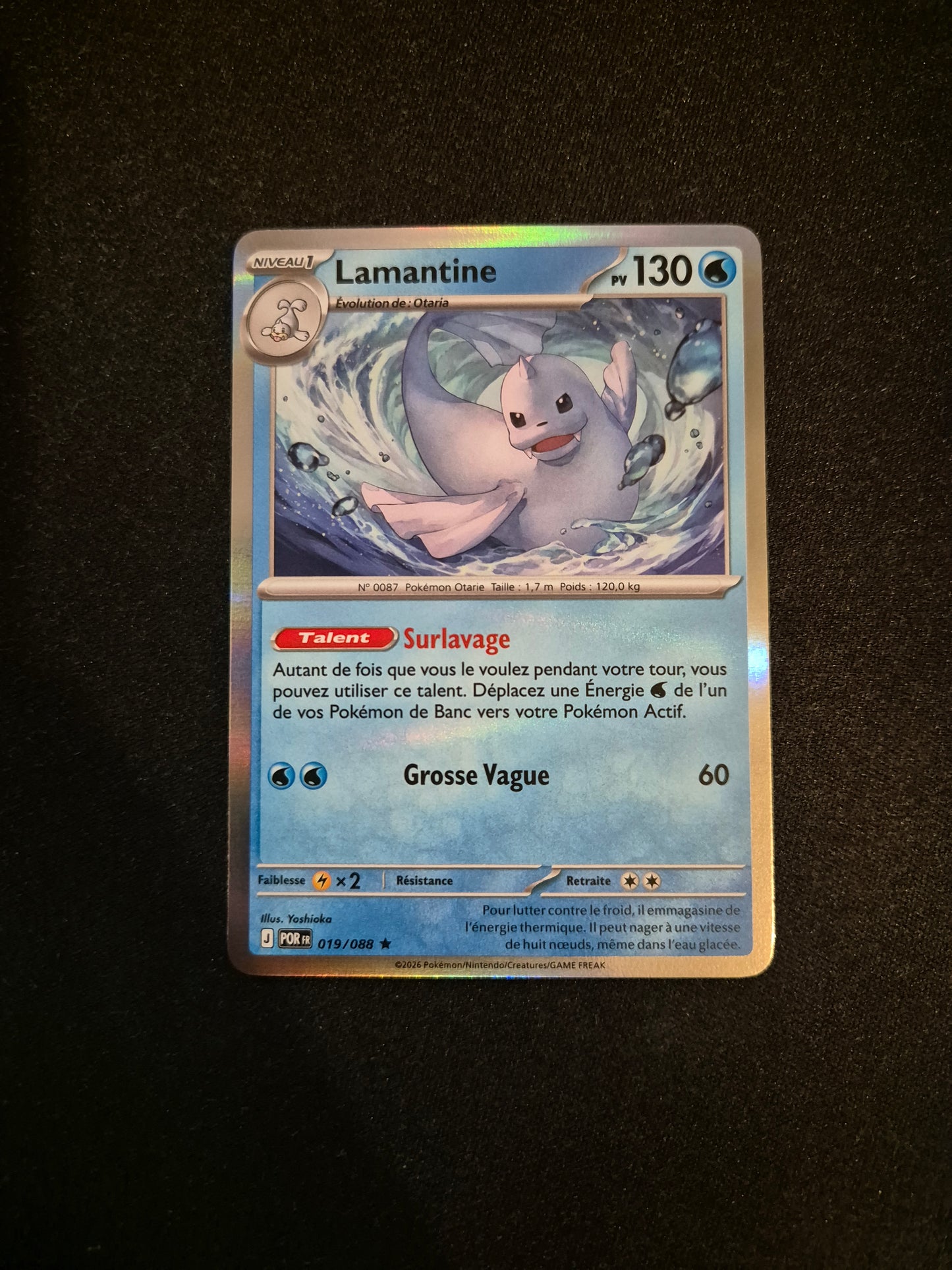 Carte Pokémon Lamantine Holo 019/088 ME03 Equilibre Parfait