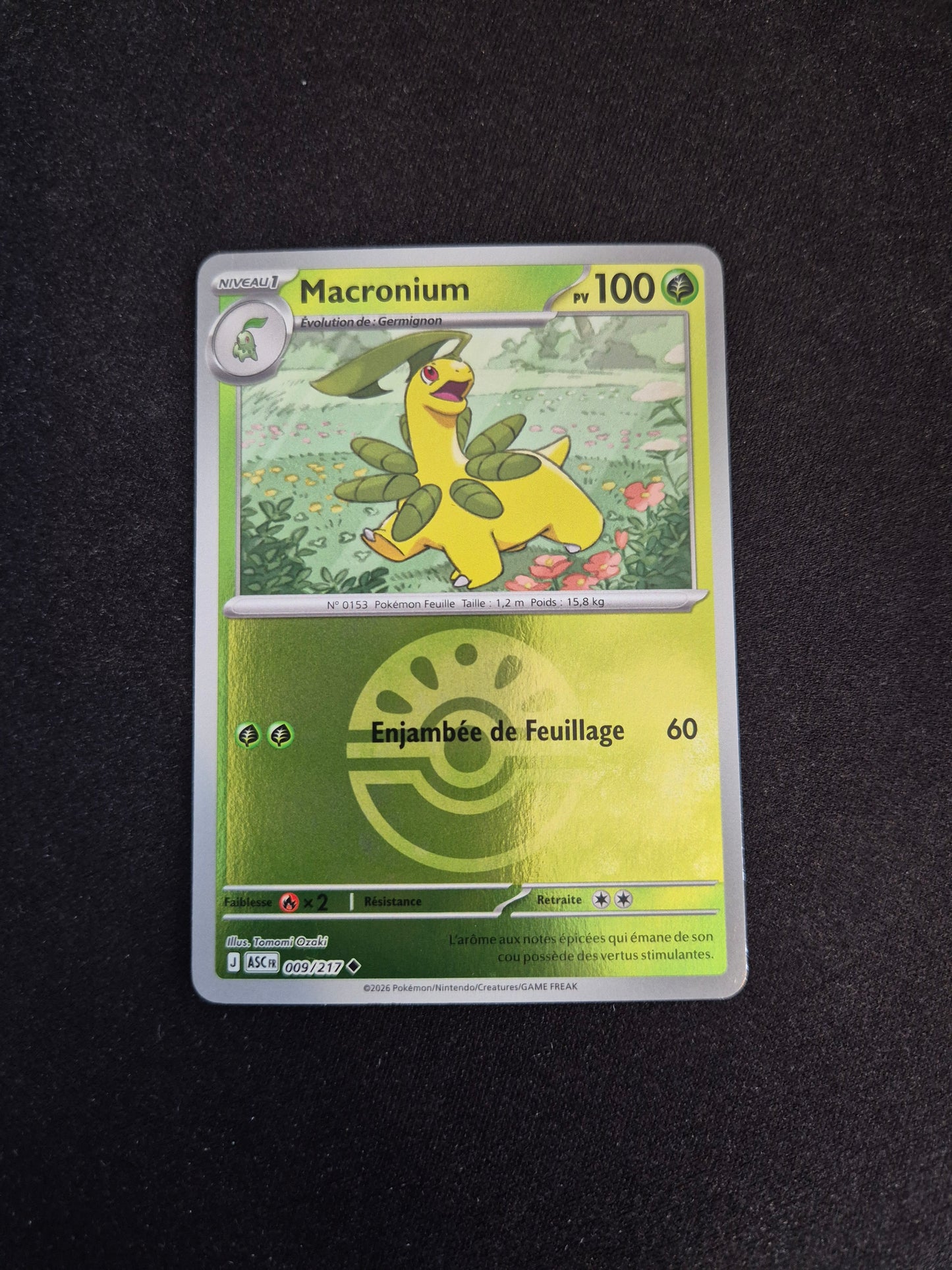 Carte Pokémon Macronium Reverse Pokéball 009/217 ME2.5 Héros Transcendants