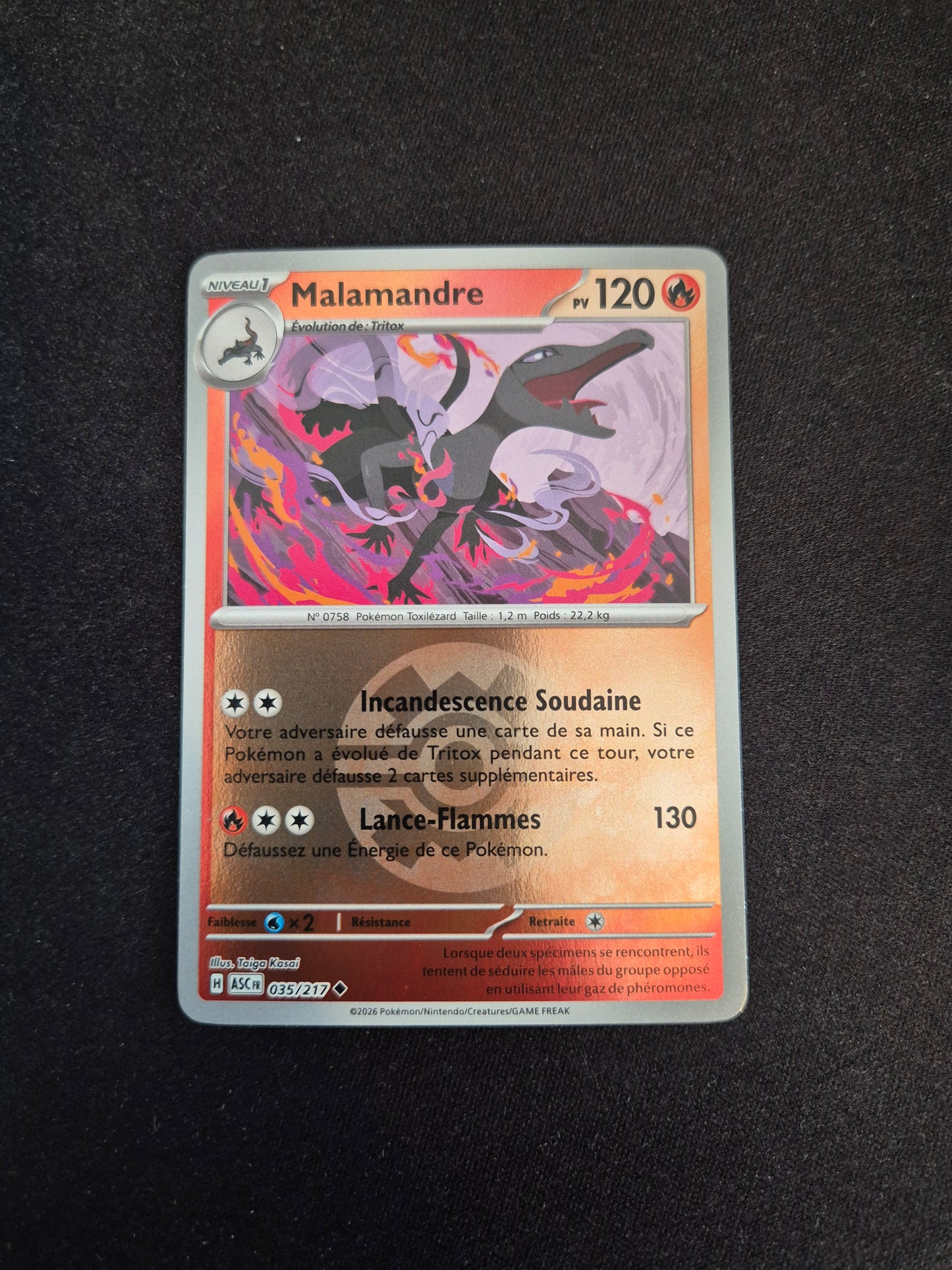 Carte Pokémon Malamandre Reverse Pokéball 035/217 ME2.5 Héros Transcendants