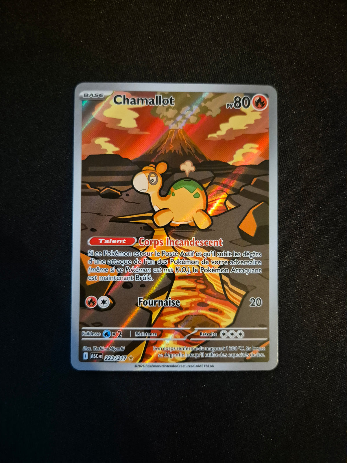 Carte Pokémon Chamallot Art Rare AR 223/217 ME2.5 Héros Transcendants
