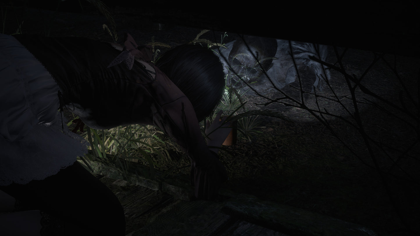 Fatal Frame II 2 : Crimson Butterfly Remake Playstation 5 PS5