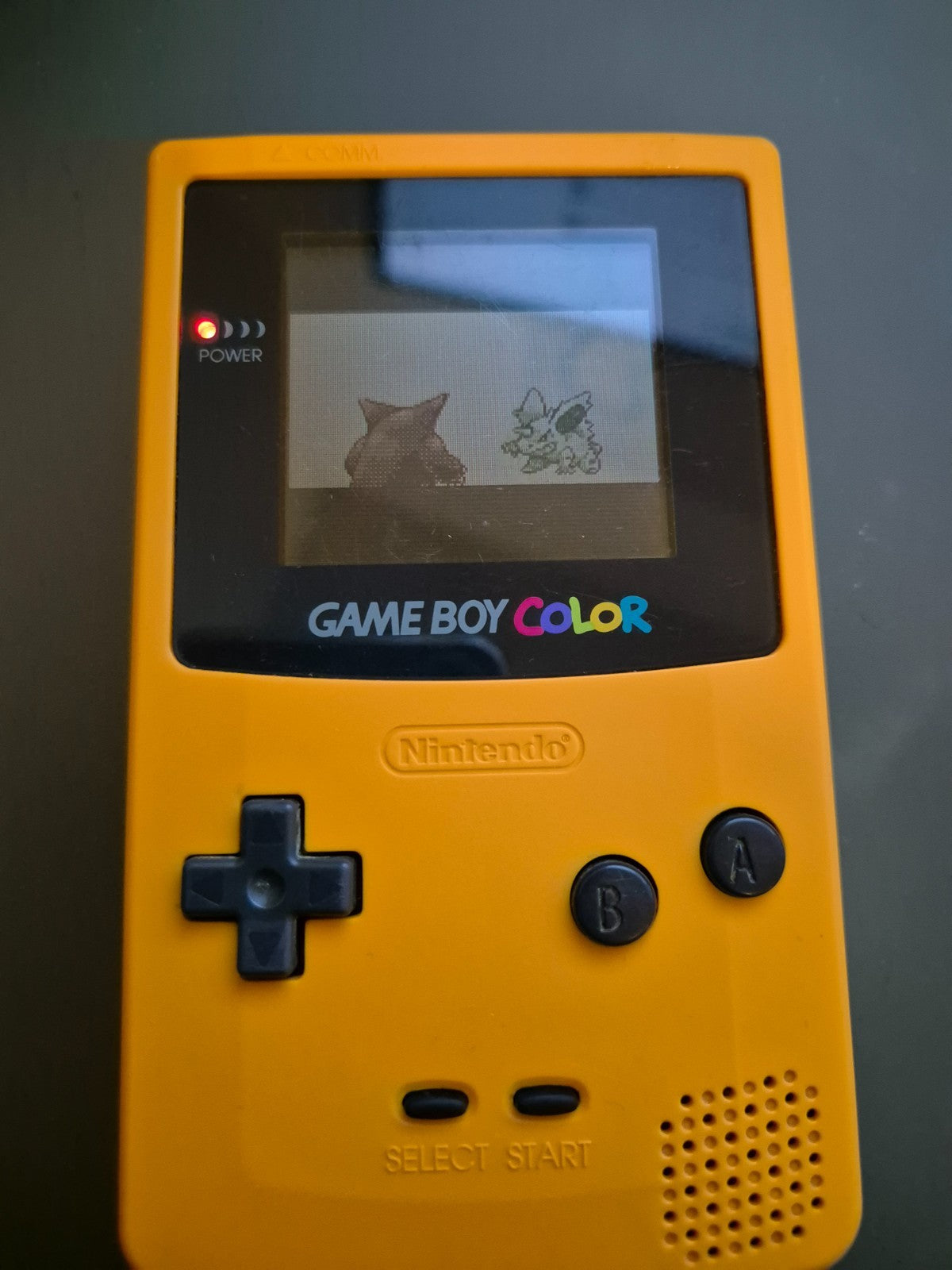 8764419