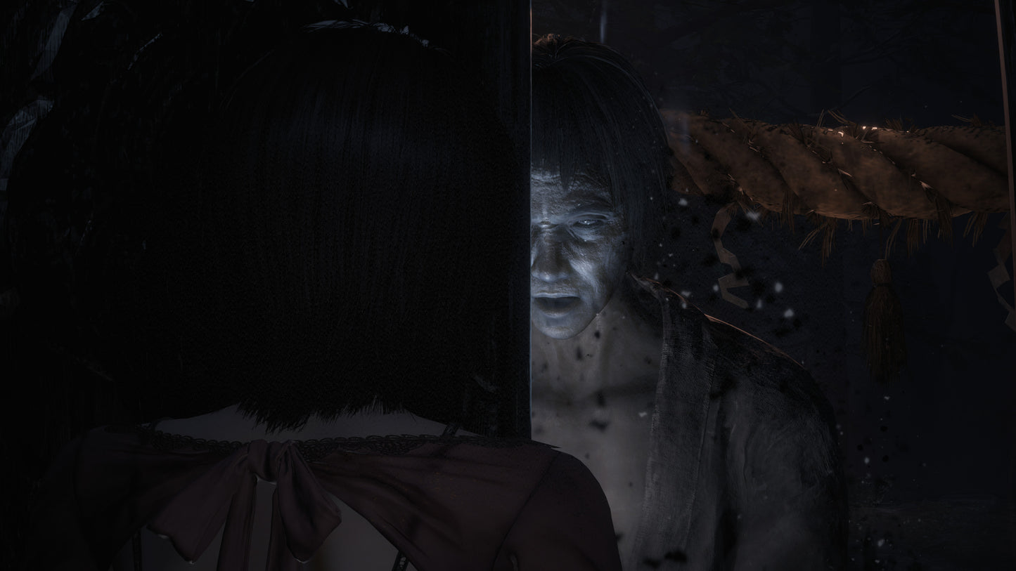 Fatal Frame II 2 : Crimson Butterfly Remake Playstation 5 PS5