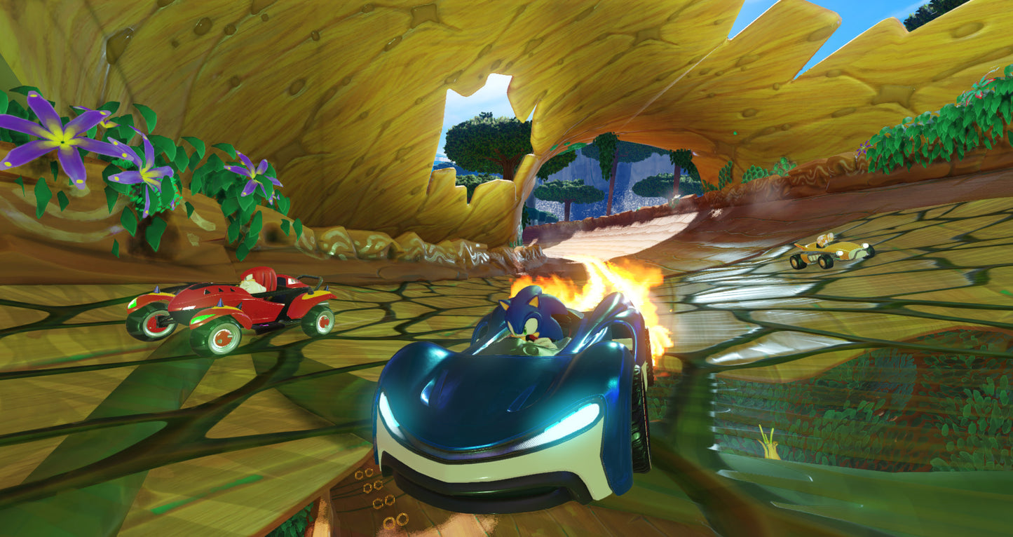 Team Sonic Racing (Code-in-a-box) Nintendo Switch